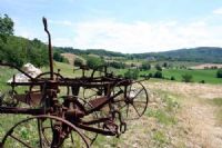 Agriturismo Corte del Gallo - l'ambiente rurale piacentino