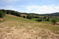Agriturismo Corte del Gallo - ambiente, natura e cucina piacentina