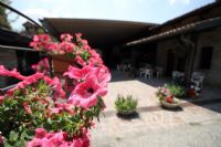 Agriturismo Paderna