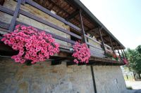 Agriturismo Paderna
