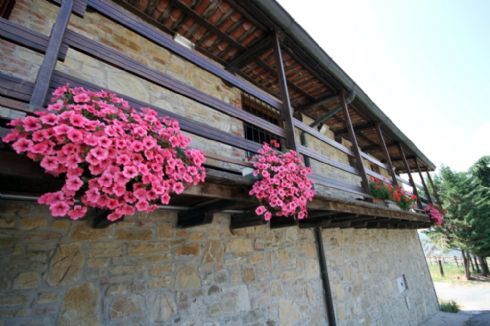 Agriturismo Paderna