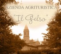 Agriturismo Il Gelso a Piozzano in Val Luretta